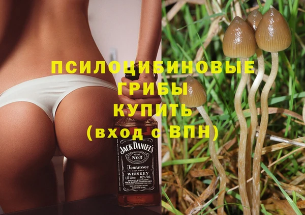 таблы Богданович