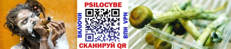 Галлюциногенные грибы Cubensis  Велиж 